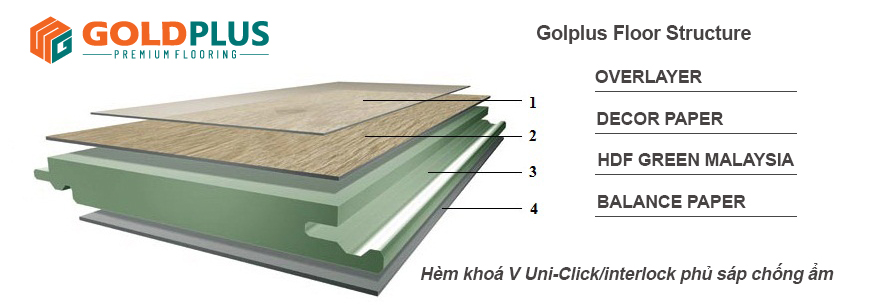 Cấu tạo sàn gỗ Goldplus cốt xanh